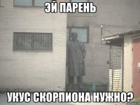 эй парень укус скорпиона нужно?