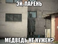 эй, парень медведь не нужен?