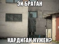 эй братан кардиган нужен?