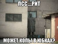 псс....рит может копы в юбках?