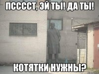 псссст, эй ты! да ты! котятки нужны?