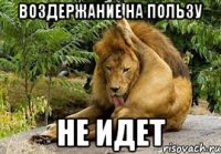 воздержание на пользу не идет