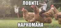 ловите наркомана