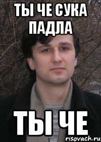 ты че сука падла ты че