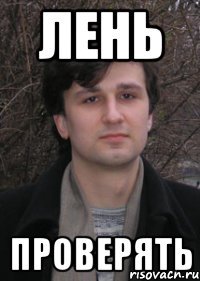 лень проверять