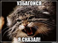 узбагойся я сказал!