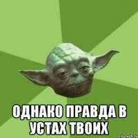  однако правда в устах твоих