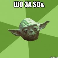 шо за sd& 