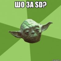 шо за sd? 