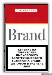 Курение на территории Лысковского Агротехнического техникума вредит штрафом в размере 500р