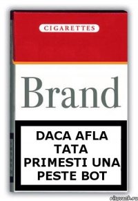 Daca afla tata primesti una peste bot