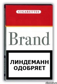 Линдеманн одобряет