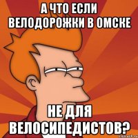 а что если велодорожки в омске не для велосипедистов?