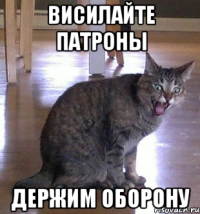 висилайте патроны держим оборону