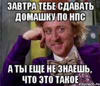 завтра тебе сдавать домашку по нпс а ты еще не знаешь, что это такое