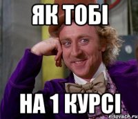 як тобі на 1 курсі