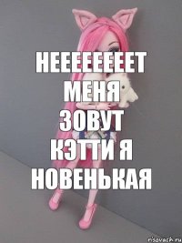 Неееееееет меня зовут Кэтти я новенькая