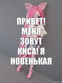 Привет! Меня зовут Киса! Я новенькая