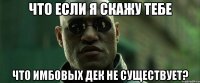 что если я скажу тебе что имбовых дек не существует?