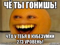 чё ты гонишь! что у тебя в кубезумии 273 уровень!