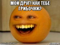 мой друг! как тебе грибочки? 