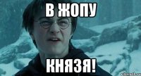 в жопу князя!