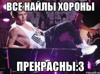 все найлы хороны прекрасны:3