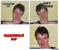 Голландский сыр Сыр с плесенью Подзалупный сыр
