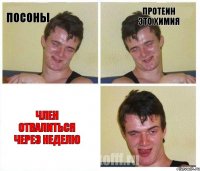 Посоны протеин это химия член отвалиться через неделю