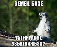 земен, бозе ты нигаг не узбагойжьзя?