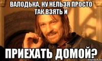 валодька, ну нельзя просто так взять и приехать домой?