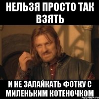 нельзя просто так взять и не залайкать фотку с миленьким котеночком