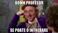 domn profesor se poate o intrebare