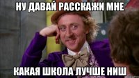 ну давай расскажи мне какая школа лучше ниш