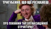 тригубенко, що ще розкажеш про лінійний тип організаційної структури?