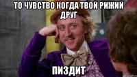 то чувство когда твой рижий друг пиздит