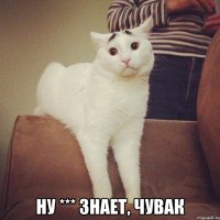  ну *** знает, чувак