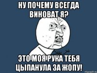 ну почему всегда виноват я? это моя рука тебя цыпанула за жопу!