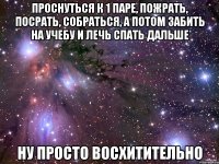 проснуться к 1 паре, пожрать, посрать, собраться, а потом забить на учебу и лечь спать дальше ну просто восхитительно