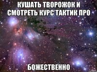 кушать творожок и смотреть курс тактик про божественно