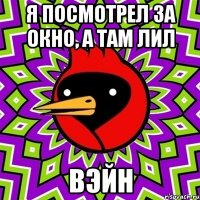 я посмотрел за окно, а там лил вэйн