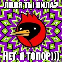 лиля ты пила? нет, я топор)))