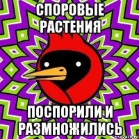 споровые растения поспорили и размножились