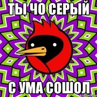 ты чо серый с ума сошол