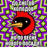 до снегов- холодов но по весне нового посадят