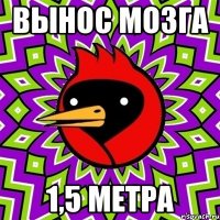 вынос мозга 1,5 метра