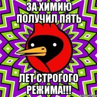за химию получил пять лет строгого режима!!!