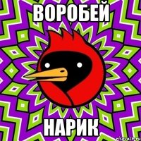 воробей нарик