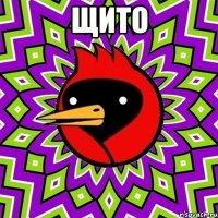 щито 