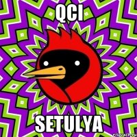 qci setulya